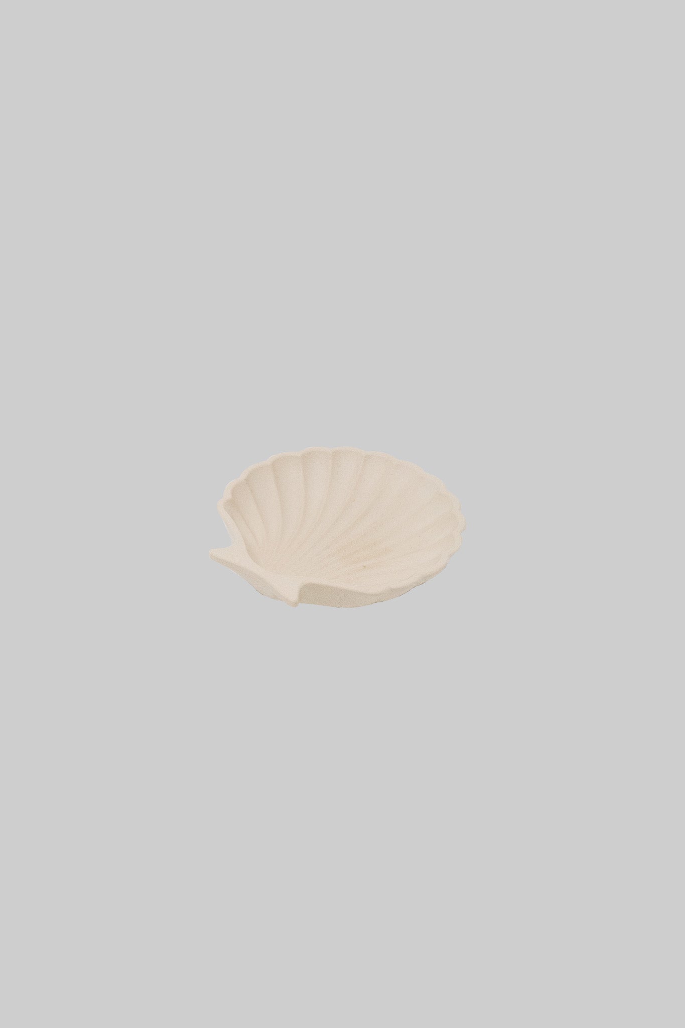 Seashell Tray