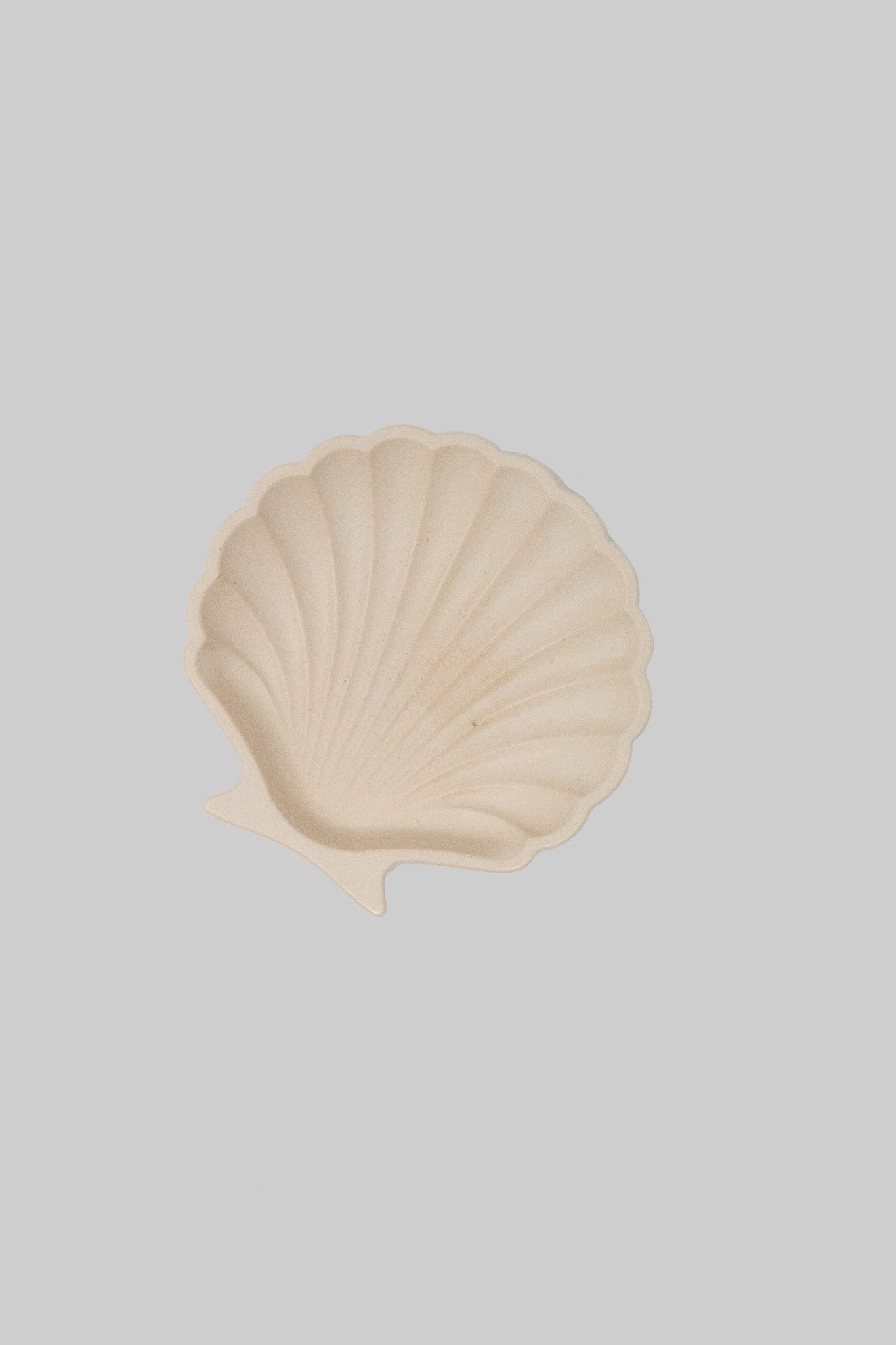 Seashell Tray