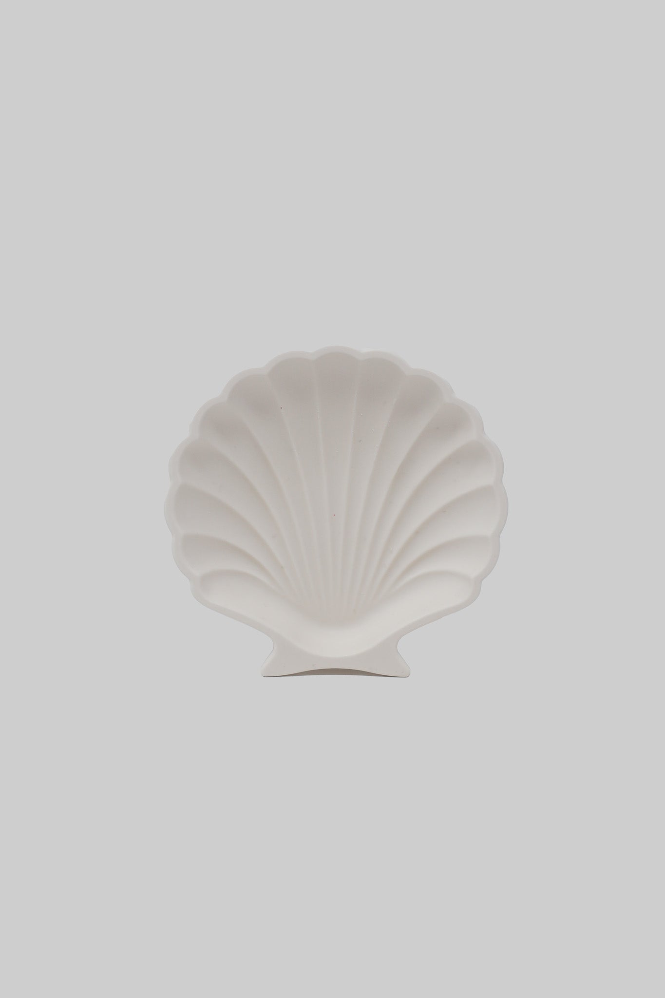 Seashell Tray