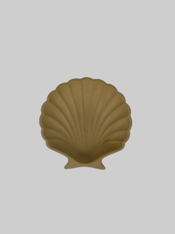 Seashell Tray