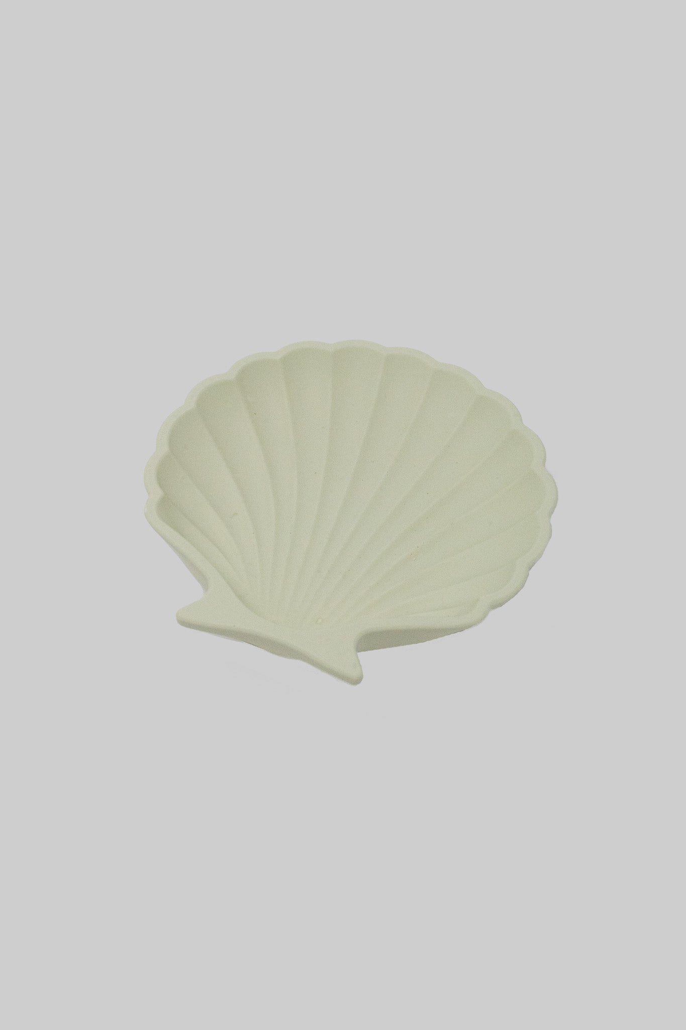 Seashell Tray