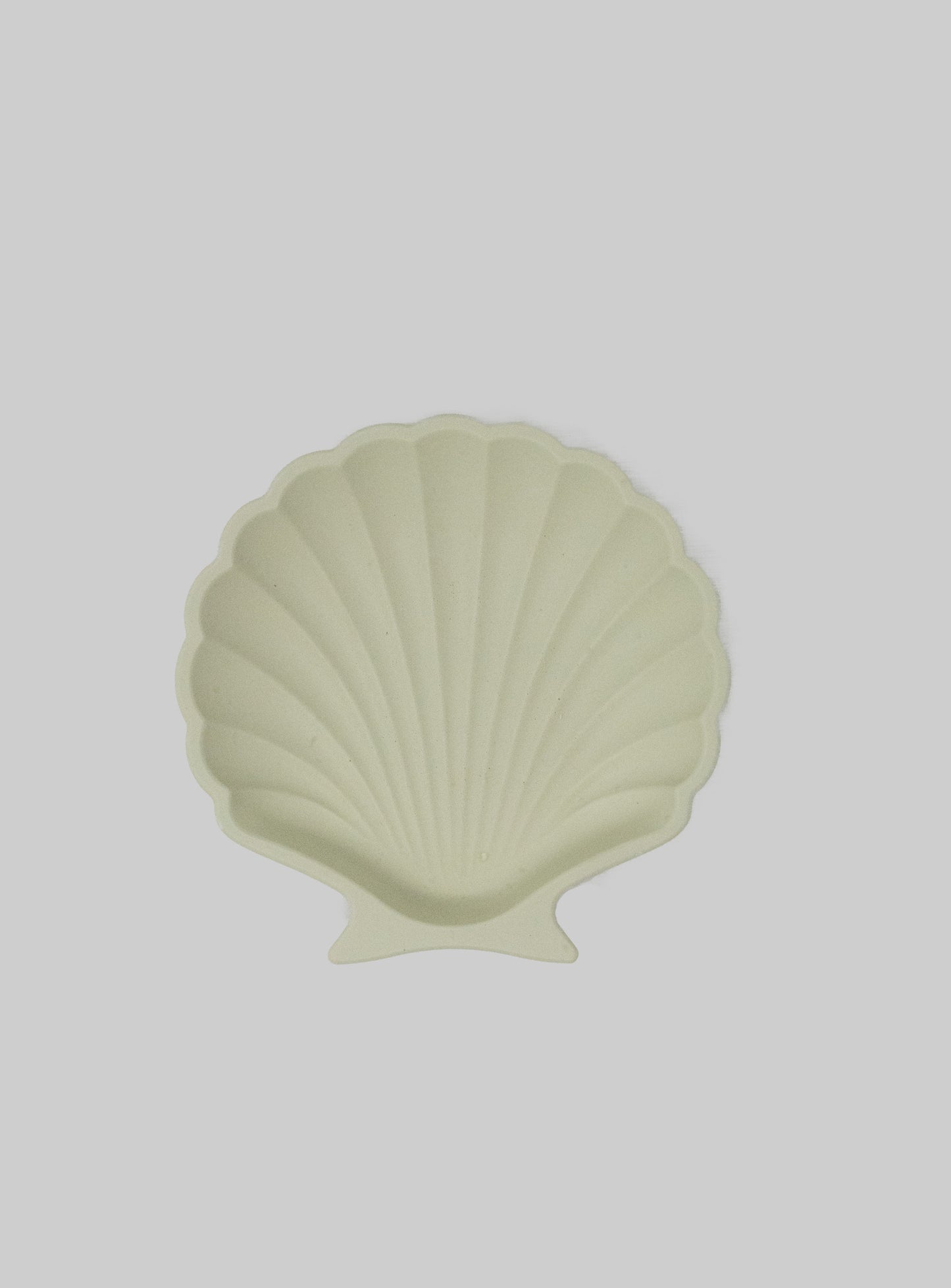 Seashell Tray